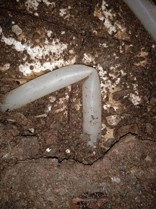 古蔺堵点精准查找